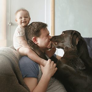 dog kisses human