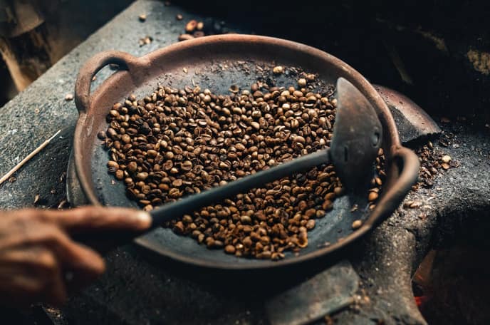 luwak coffee